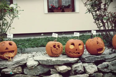 IX. Tökfesztivál