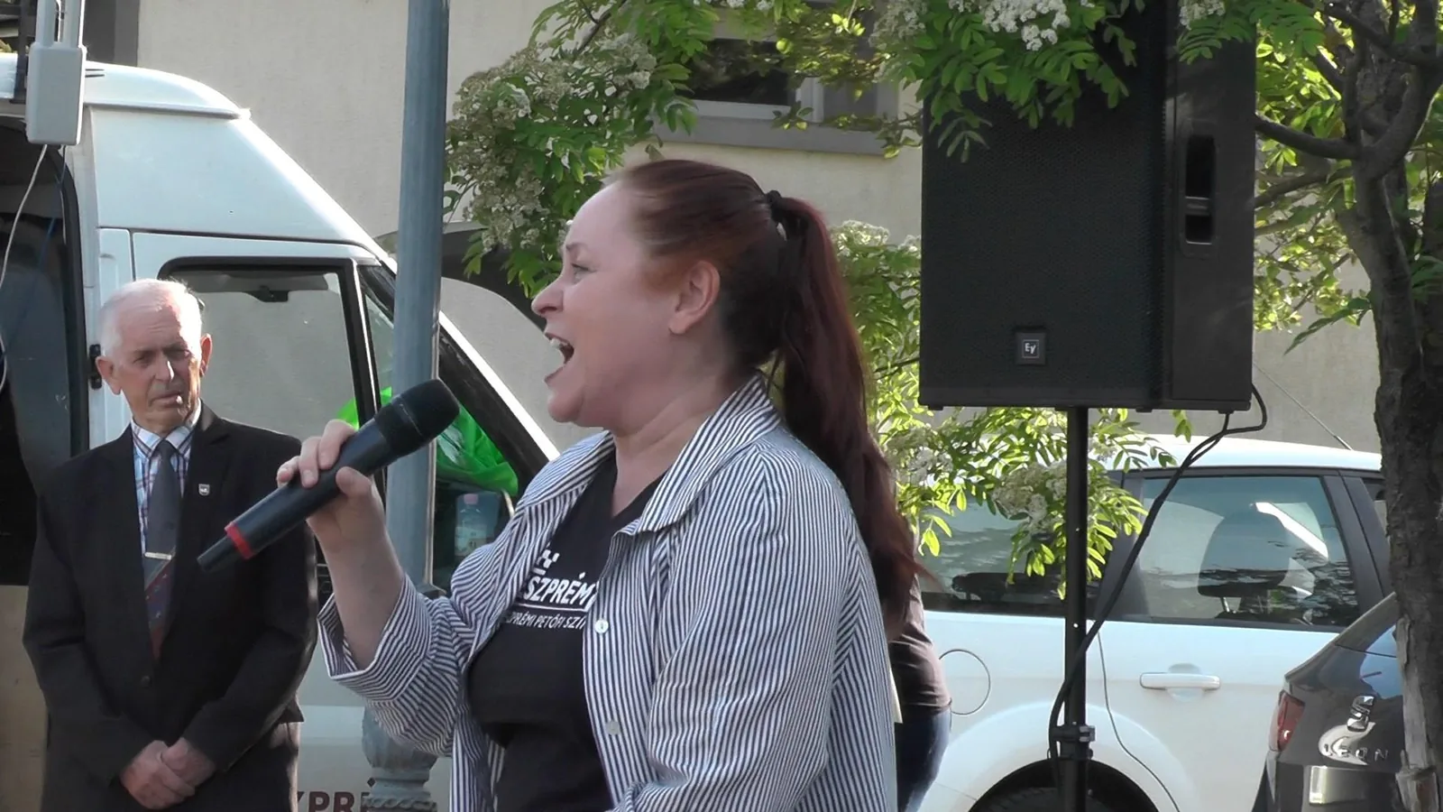 A Veszprémi Petőfi Színház Litéren