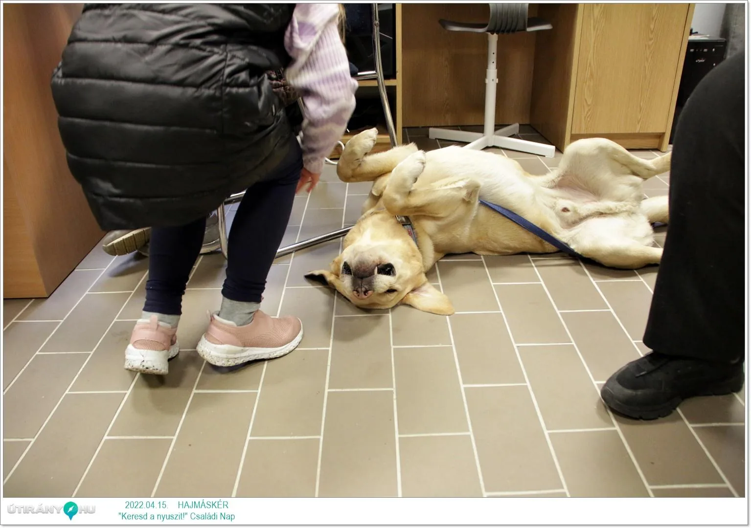 Fotók az eseményről: