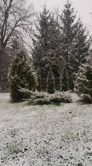 Fotók: Veinperlné Kovács Andrea, Polgármester