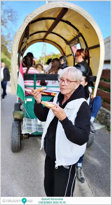Szüreti felvonulás és Bál