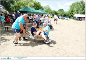 Képek delelőt