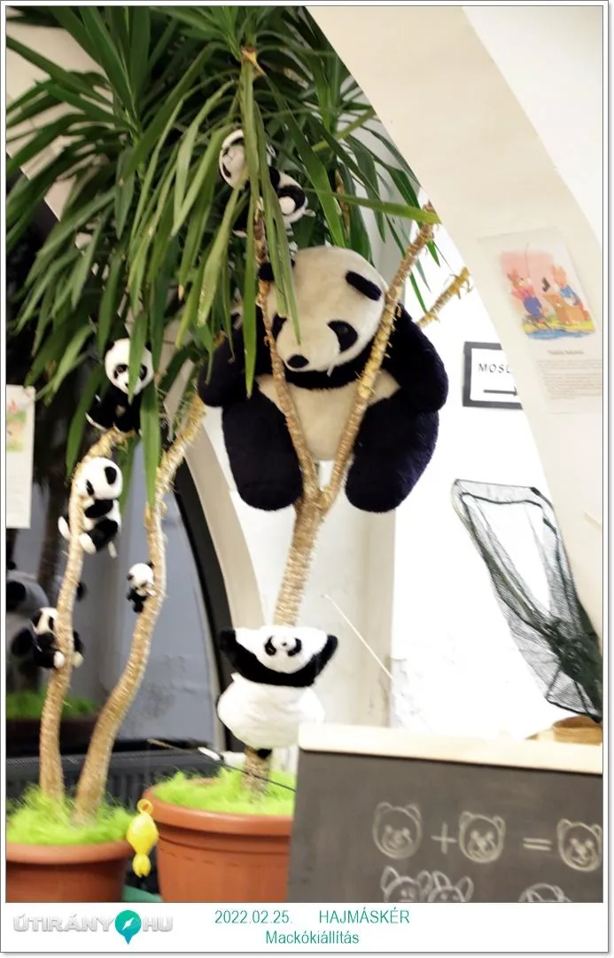 Fotók, Útirány.hu