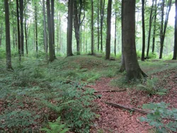 Százhalom halomsírok borítóképe