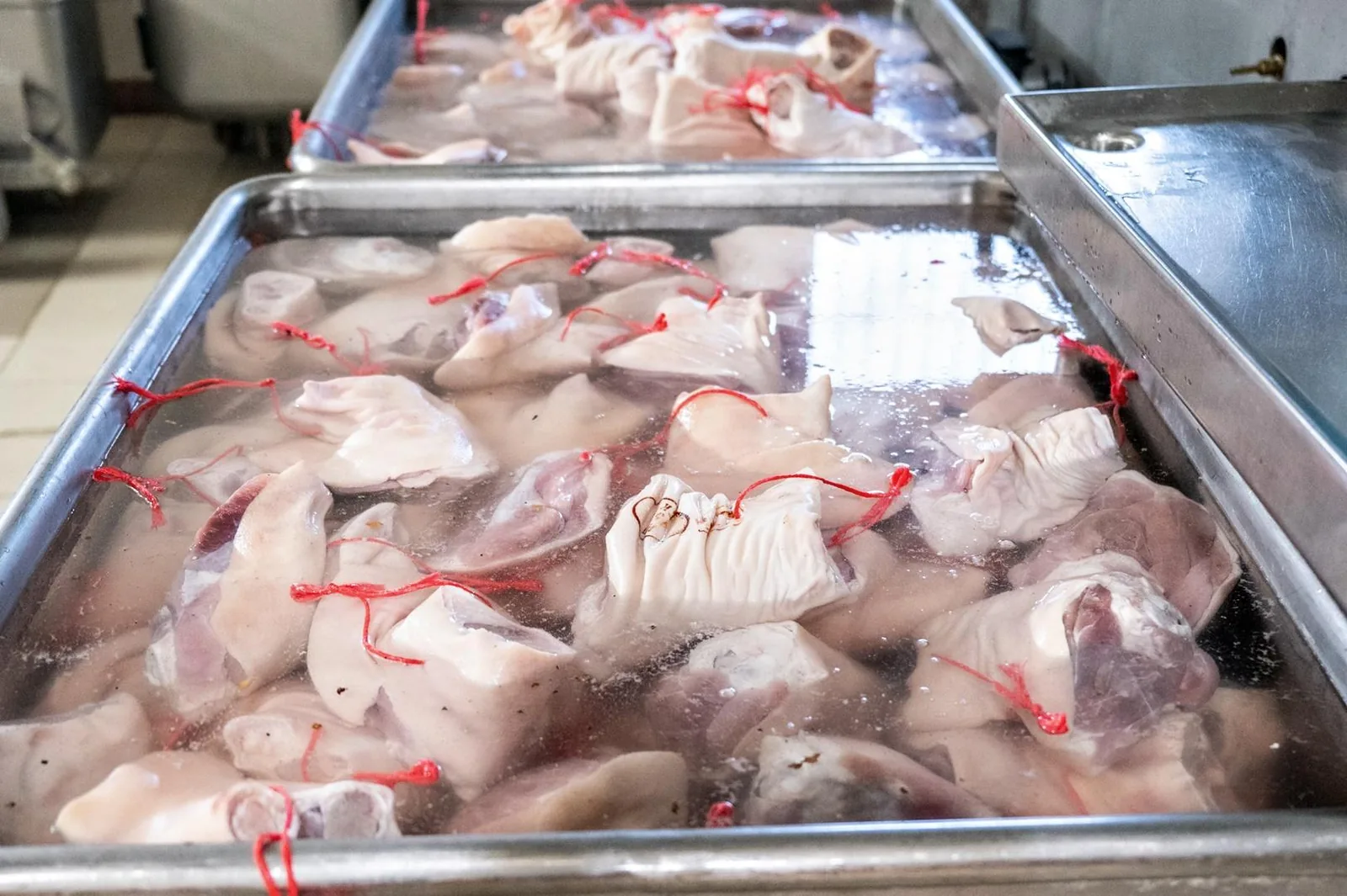 Képek: Horváth Dorottya