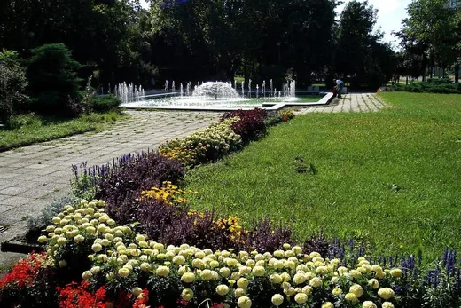 'Hild Park' cikk borítóképe