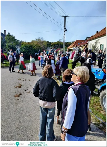 Szüreti felvonulás és Bál