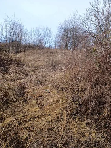 Elhanyagolt terület megtisztítása volt a feladat