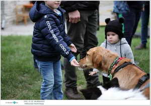 Fotók, Útirány.hu