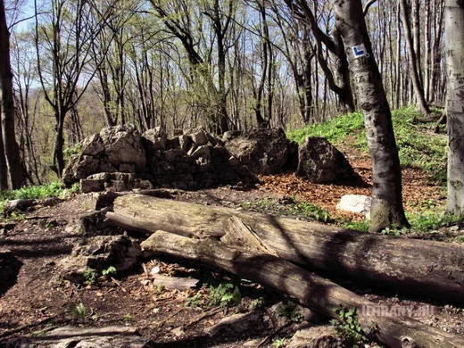 'Rablólovag-vár (Bakonyújvár)' cikk borítóképe