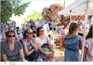 VIII. Sólyi Falunap borítóképe