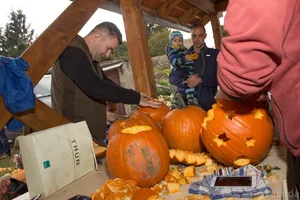 Fotók 2 album: Babai Lalinda