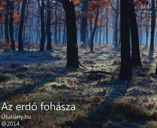 Az erdő fohásza borítóképe