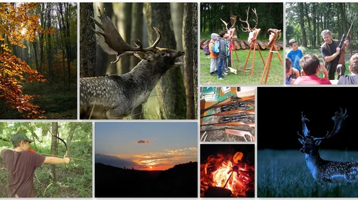 'Dámvadles és vadászati bemutató' cikk borítóképe