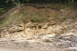 Zsidó-hegyi feltárás borítóképe