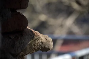 Képek: 2022. február