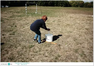 Képek
