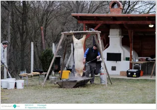 III. Hagyományos disznótor borítóképe