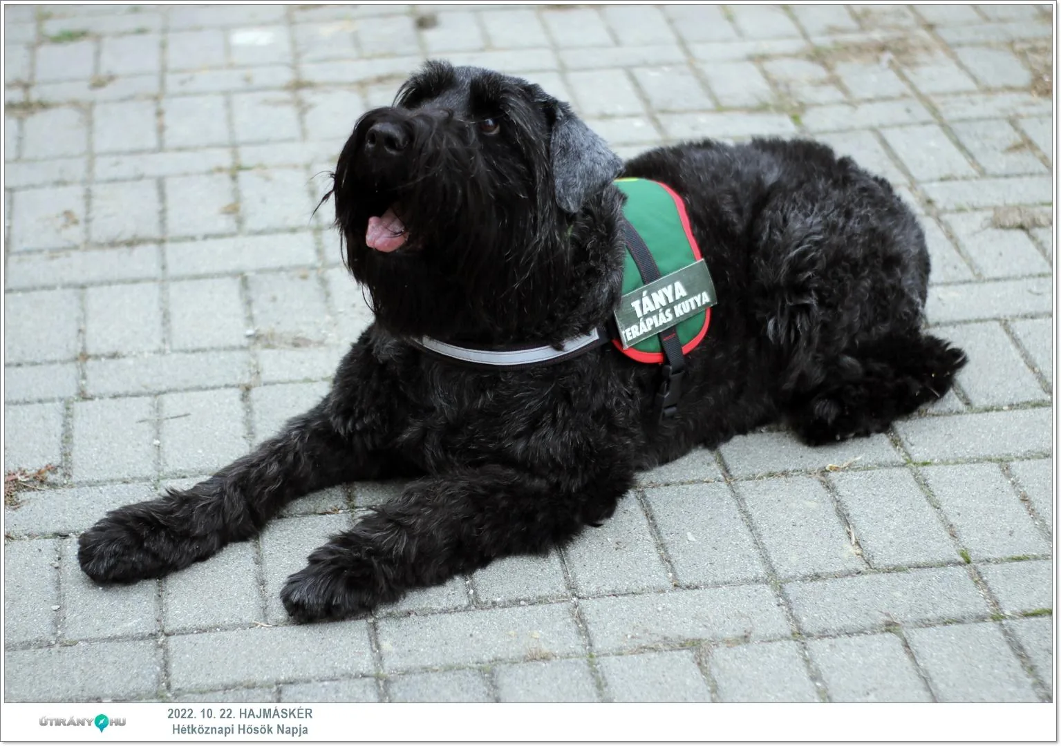 Fotók, Útirány.hu