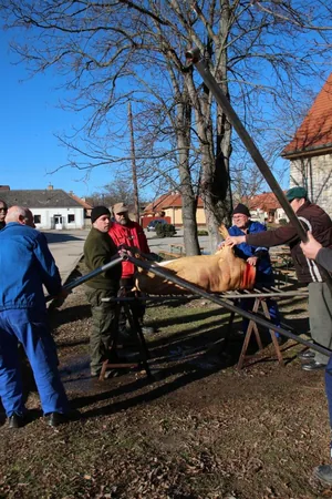 Fotók: Útirány.hu