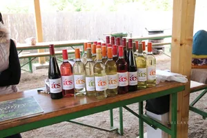 Fotók és kisfilm: Útirány.hu