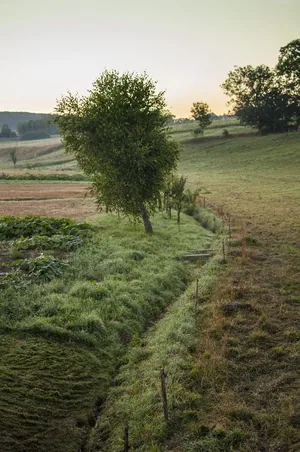 Fotó: Pesty Márton