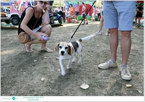 Fotók: Útirány.hu