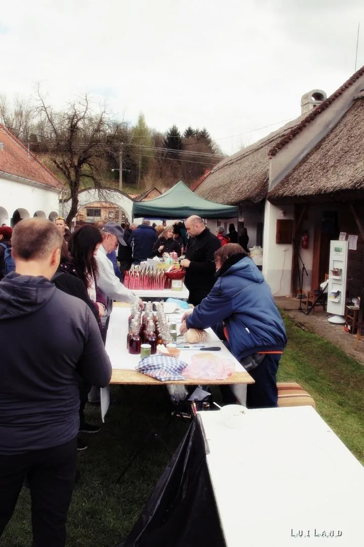 12. Medvehagymás napok. Fotók: Sárfi Lajos