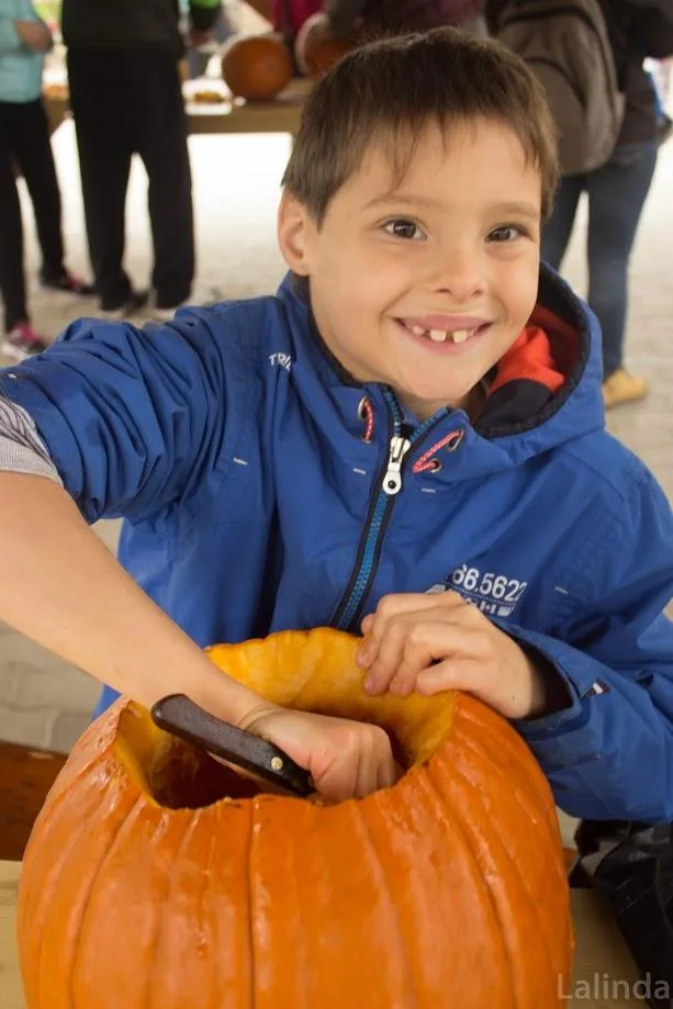 Fotók 1 album: Babai Lalinda