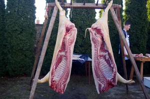 l. Porvai farsangi disznóvágás, Fotók: Sipőcz Pál /Sipi/