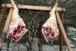 6. Falusi disznóvágás / Fotók: Útirány.hu