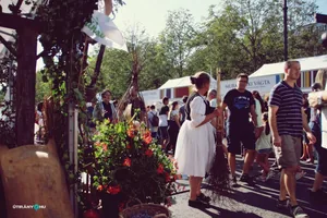 Nemzeti Vágta, Szombati képek. Fotó: Útirány.hu