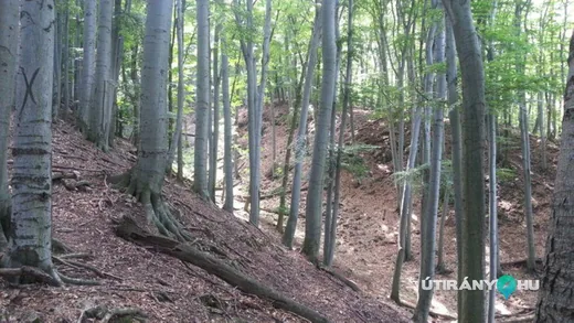 'Kék-hegyi földvár sáncai' cikk borítóképe