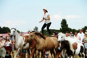 2019 Bakonyi Vágta. Fotók: Útirány.hu