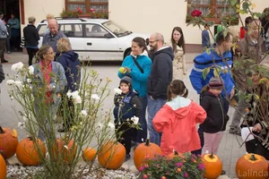 Fotók 2 album: Babai Lalinda