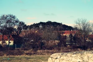 Szilveszteri futás 2018. / Fotók: Útirány.hu