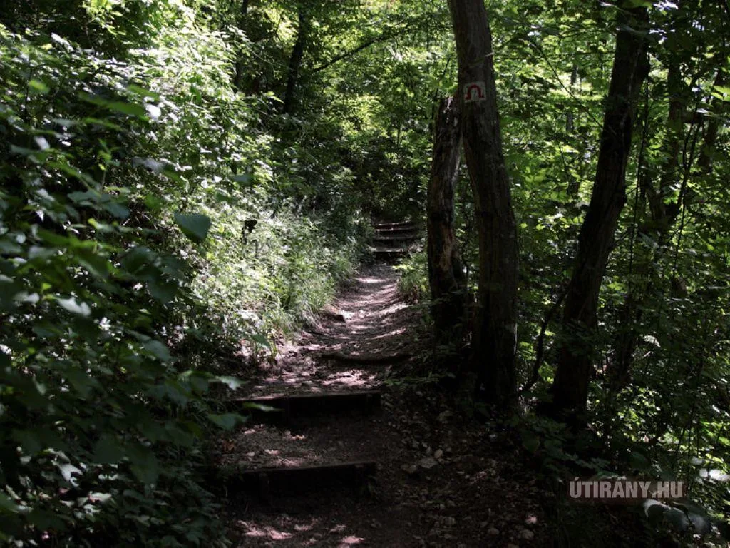 Képek videó 2013 Odvaskő-barlang