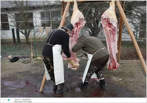 Fotók: Útirány.hu, Kiss Szabó Zoltán