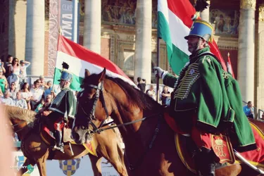 Nemzeti Vágta, szurkoljunk együtt a Bakonynak!