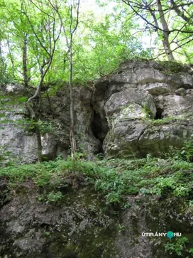 Borzas-hegyi barlang borítóképe