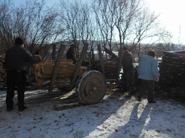 Szociális tűzifa kiosztása