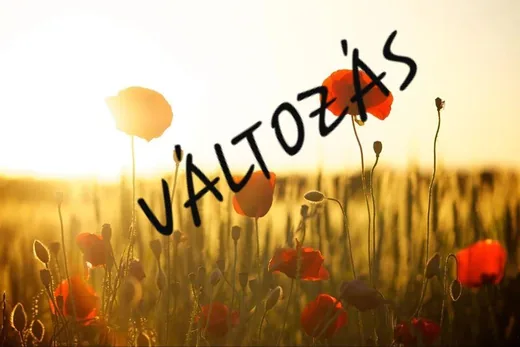 'VÁLTOZÁS! LÁSS, GONDOLKODJ, FEJLŐDJ! ' cikk borítóképe