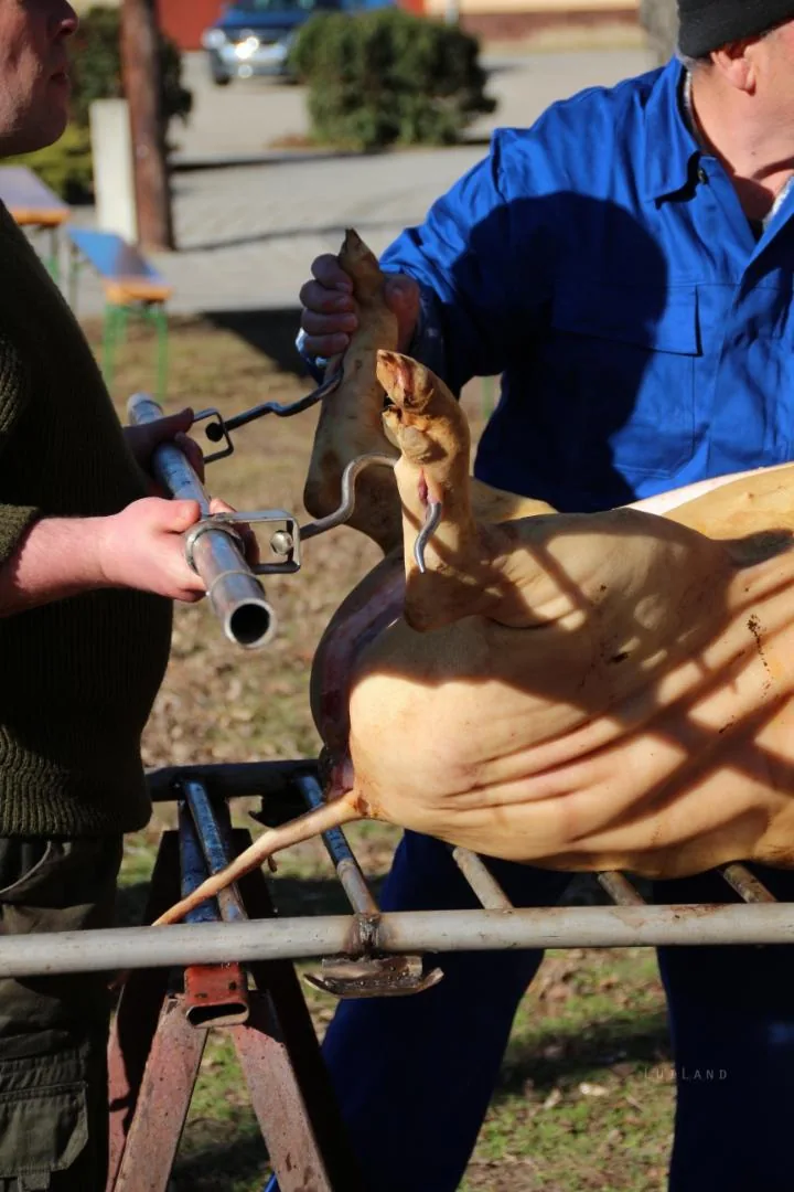 Fotók: Útirány.hu