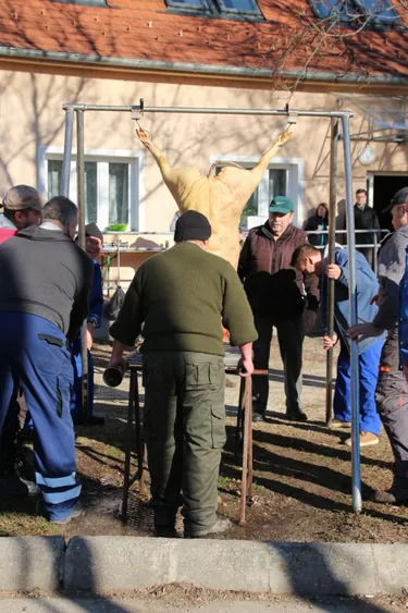 III. Falusi disznóvágás beszámoló fotókkal