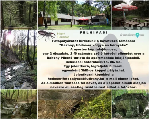 'Ősz...' cikk borítóképe