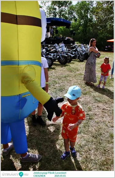 Jótékonysági Piknik Leventéért