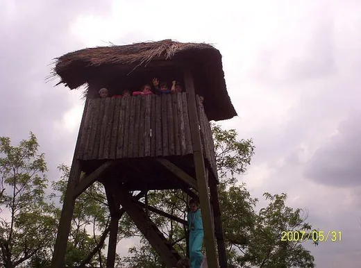 'Vidrafű Tanösvény' cikk borítóképe