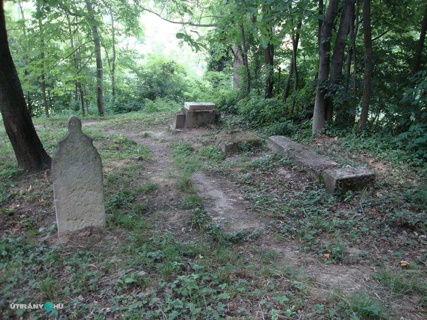 Fotók: 2015 Hegedűs László