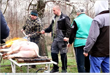 MosolyTOR / Disznóvágás