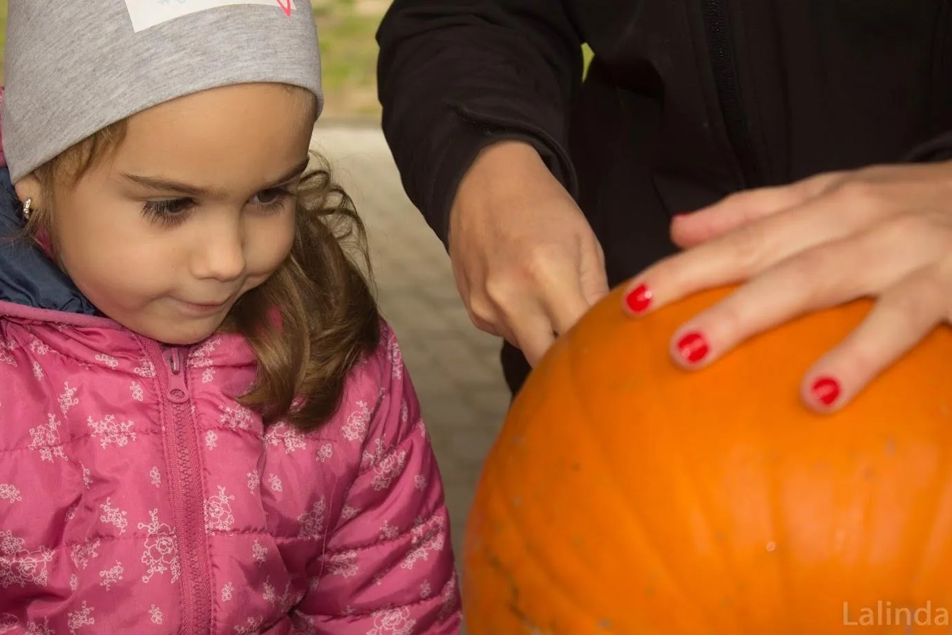 Fotók 1 album: Babai Lalinda